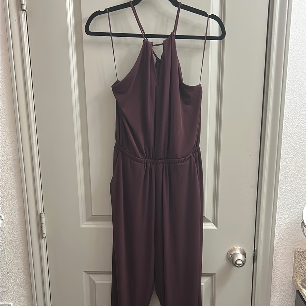 Express Deep Maroon Jumpsuit